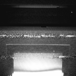 性巴克成人免费网站
