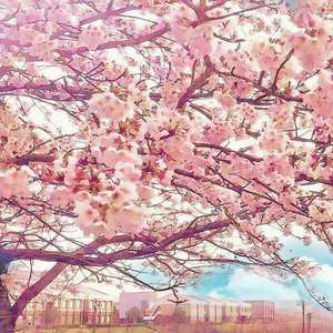 性巴克成人免费网站
